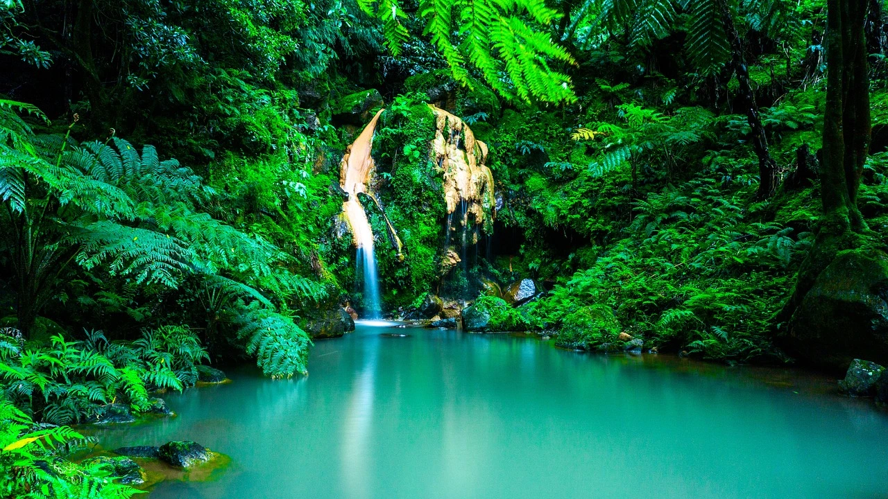 https://paquetes.madoxviajes.com/viajes/assets/upload/d1855.webp