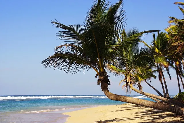 https://paquetes.madoxviajes.com/viajes/assets/upload/d2298.webp